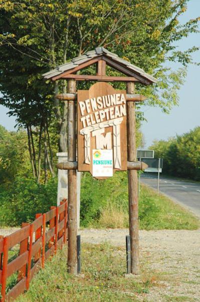 Pension Teleptean Ocna Şugatag Dış mekan fotoğraf