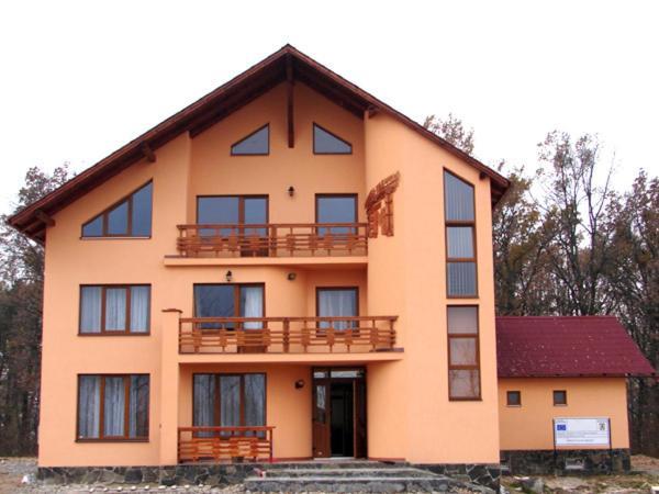 Pension Teleptean Ocna Şugatag Dış mekan fotoğraf